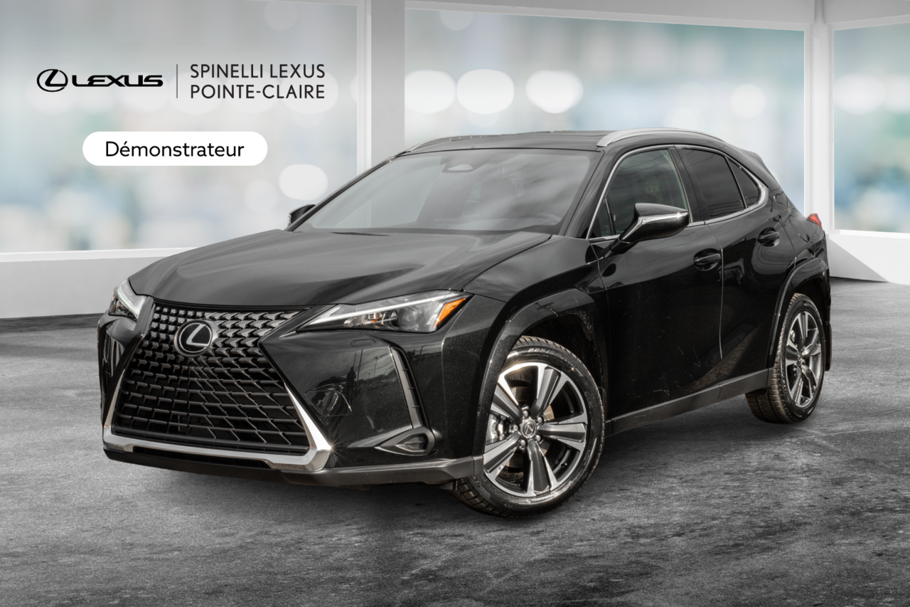 2025 Lexus UX UX 300h, AWD HYBRID
