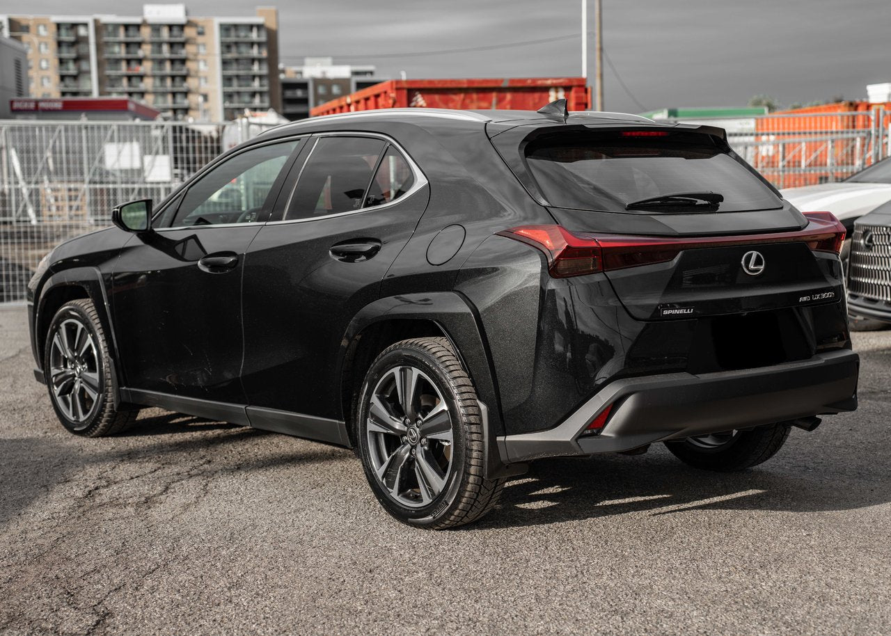 2025 Lexus UX UX 300h, AWD HYBRID