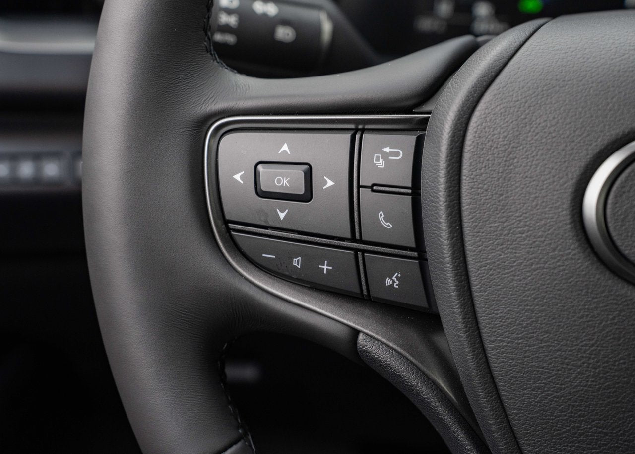 2025 Lexus UX UX 300h, AWD HYBRID