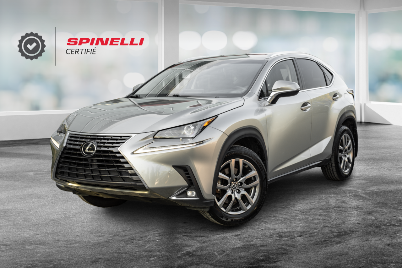 2019 Lexus NX NX 300 PREMIUM