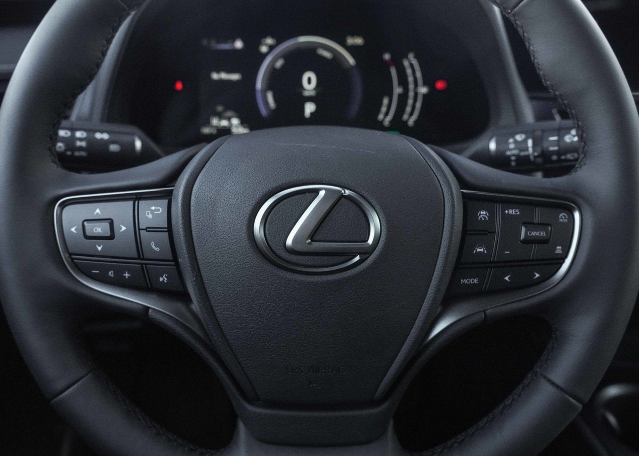 2025 Lexus UX UX 300h, AWD PREMIUM