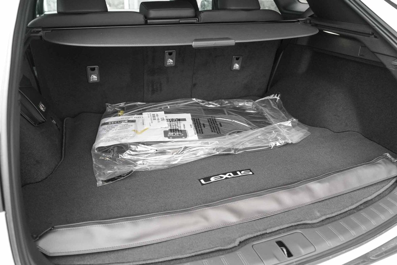 2025 Lexus RX PREMIUM