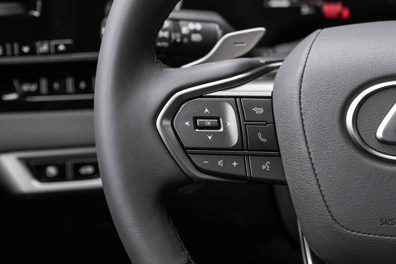 2025 Lexus RX PREMIUM