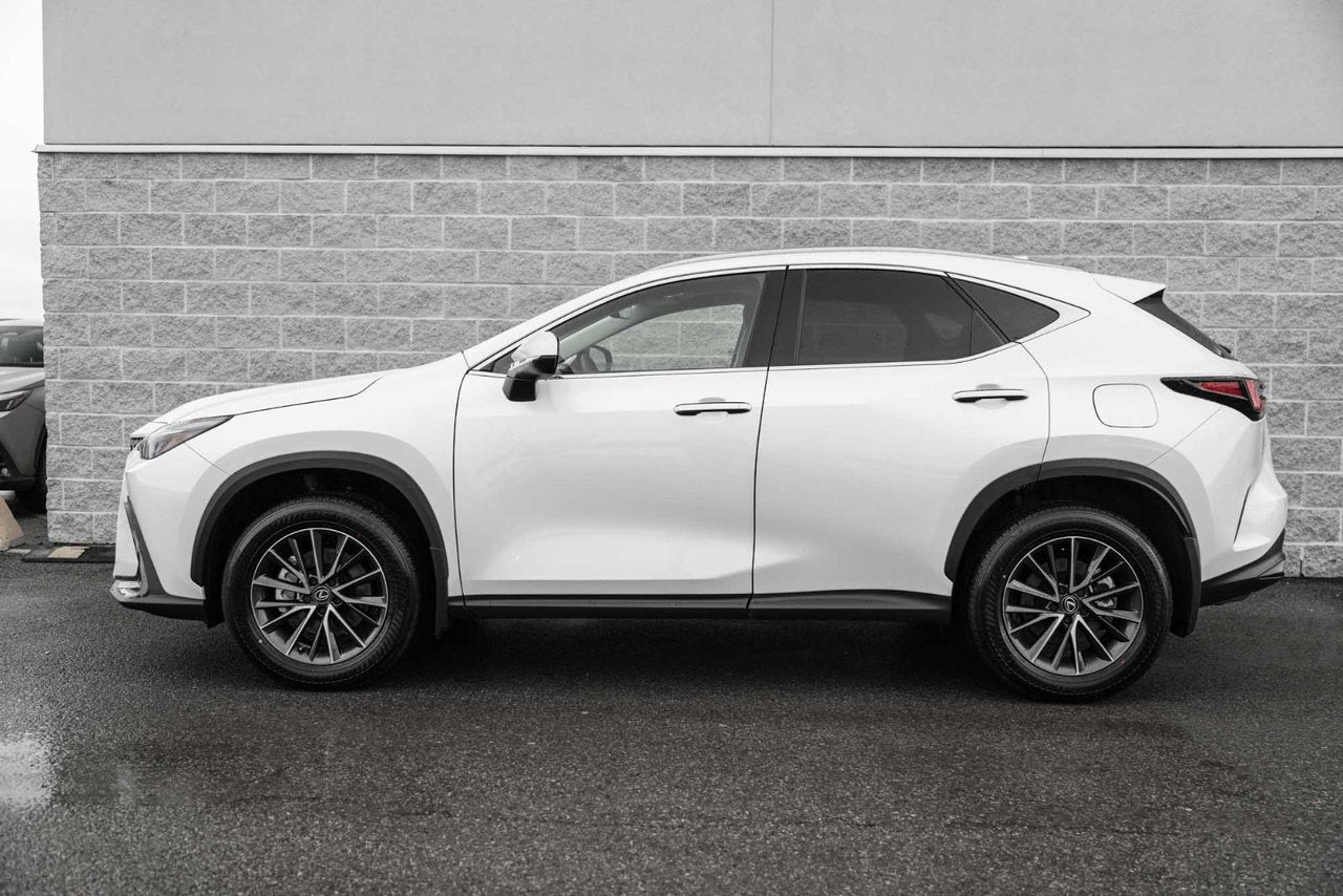 2025 Lexus NXH PREMIUM