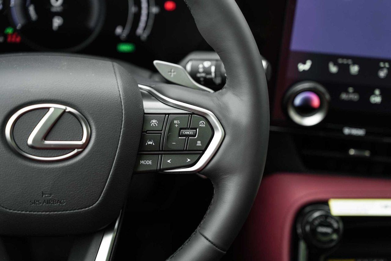 2025 Lexus NXH LUXURY