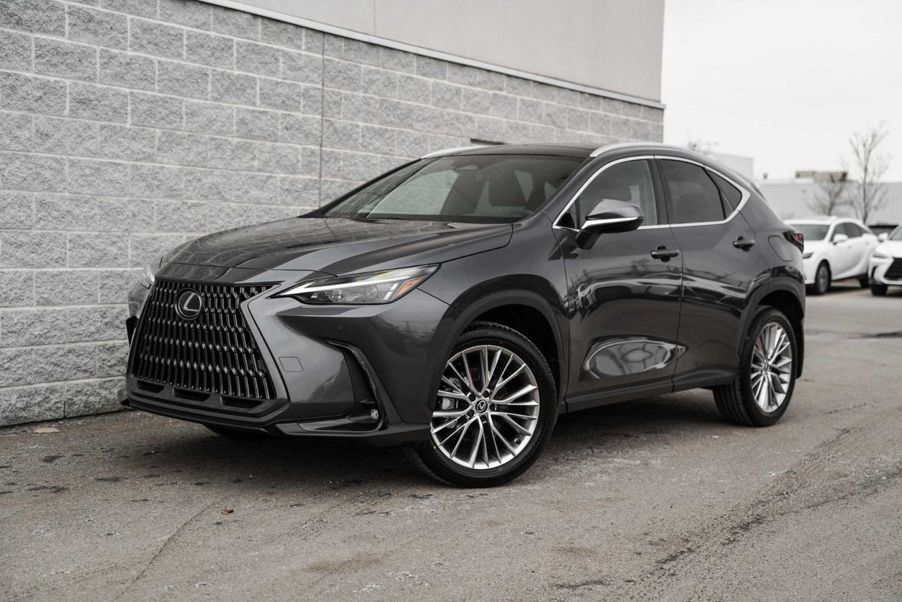 2025 Lexus NXH LUXURY