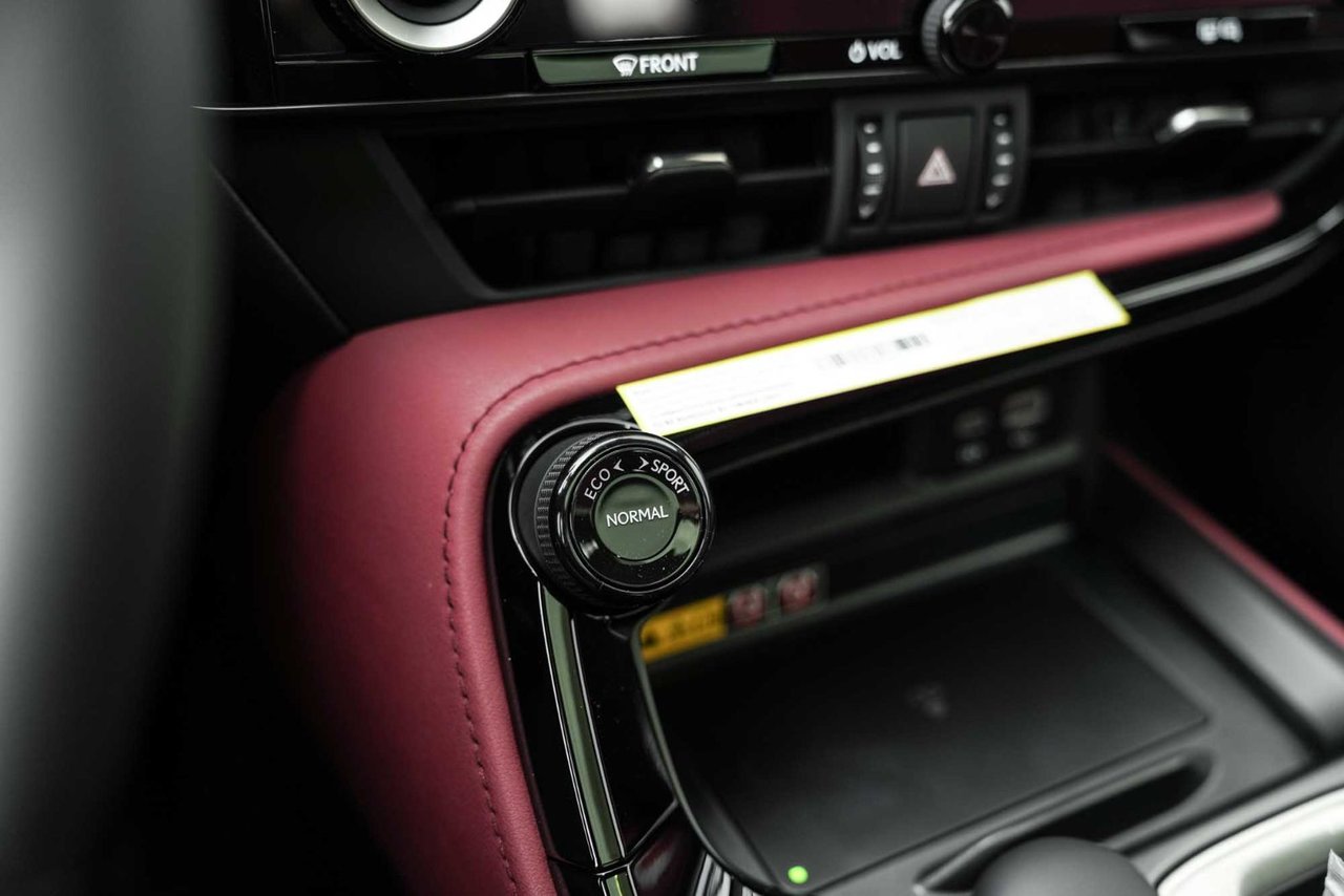 2025 Lexus NXH LUXURY
