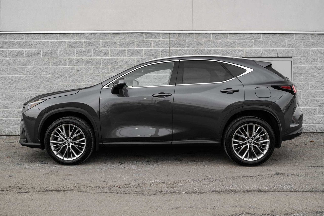 2025 Lexus NXH LUXURY