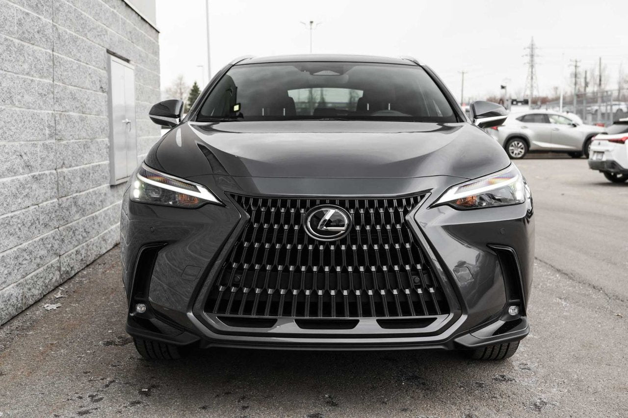 2025 Lexus NXH LUXURY