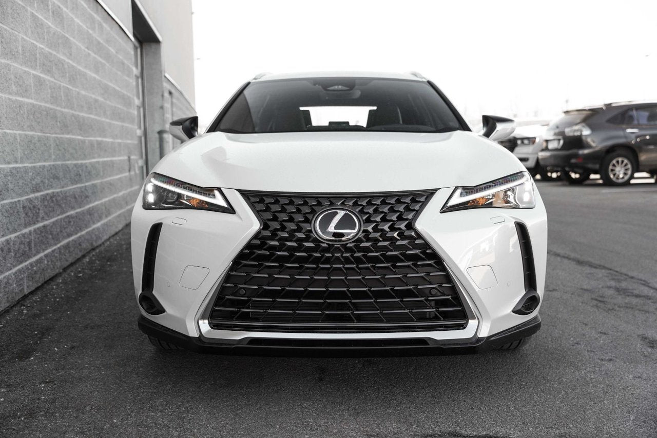 2025 Lexus UXH LUXURY