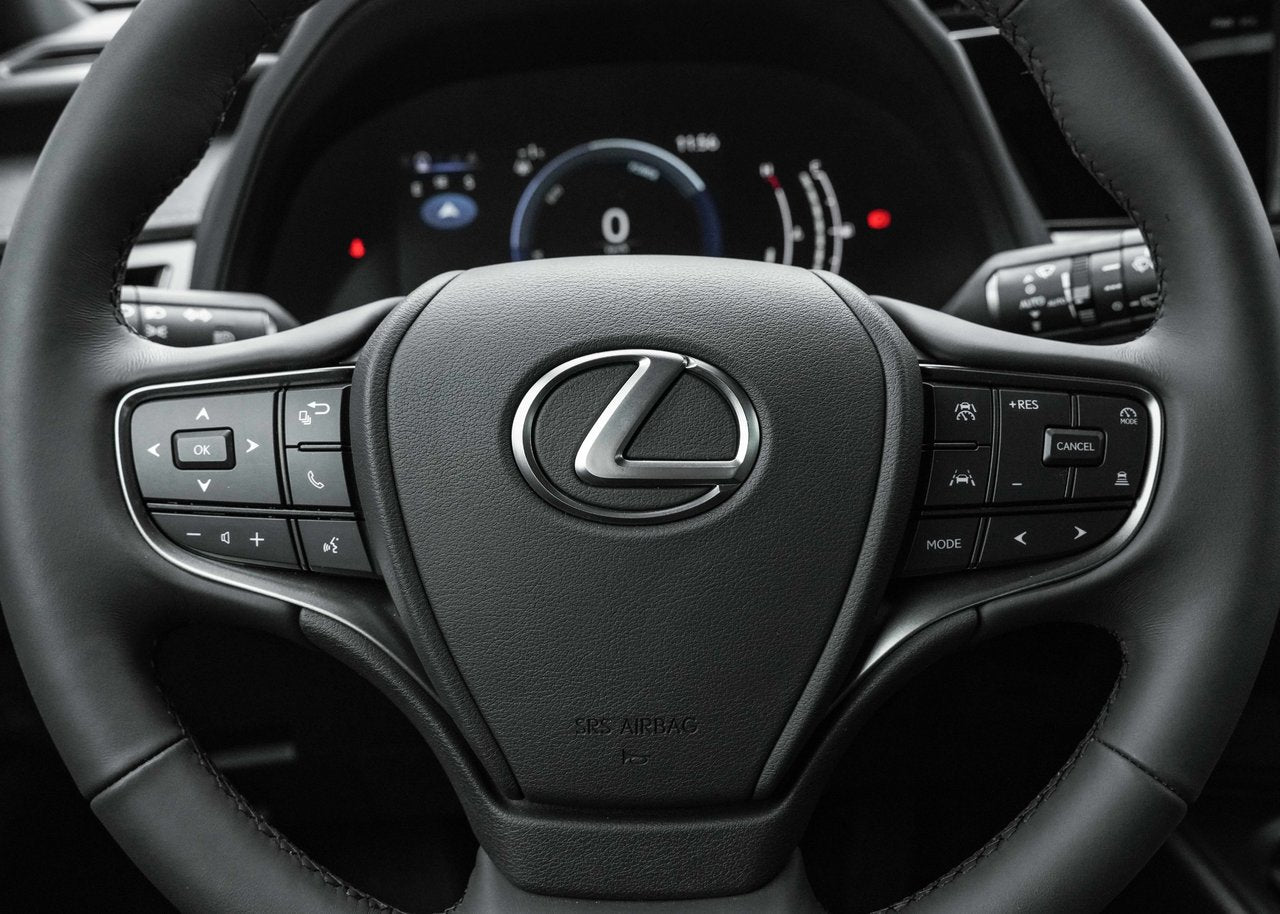 2025 Lexus UX UX 300h, AWD PREMIUM PACKAGE