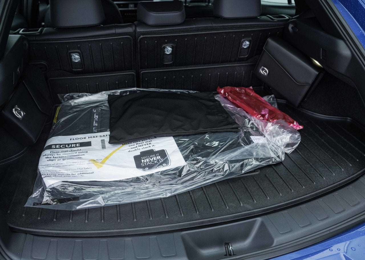 2025 Lexus UX UX 300h, AWD PREMIUM PACKAGE
