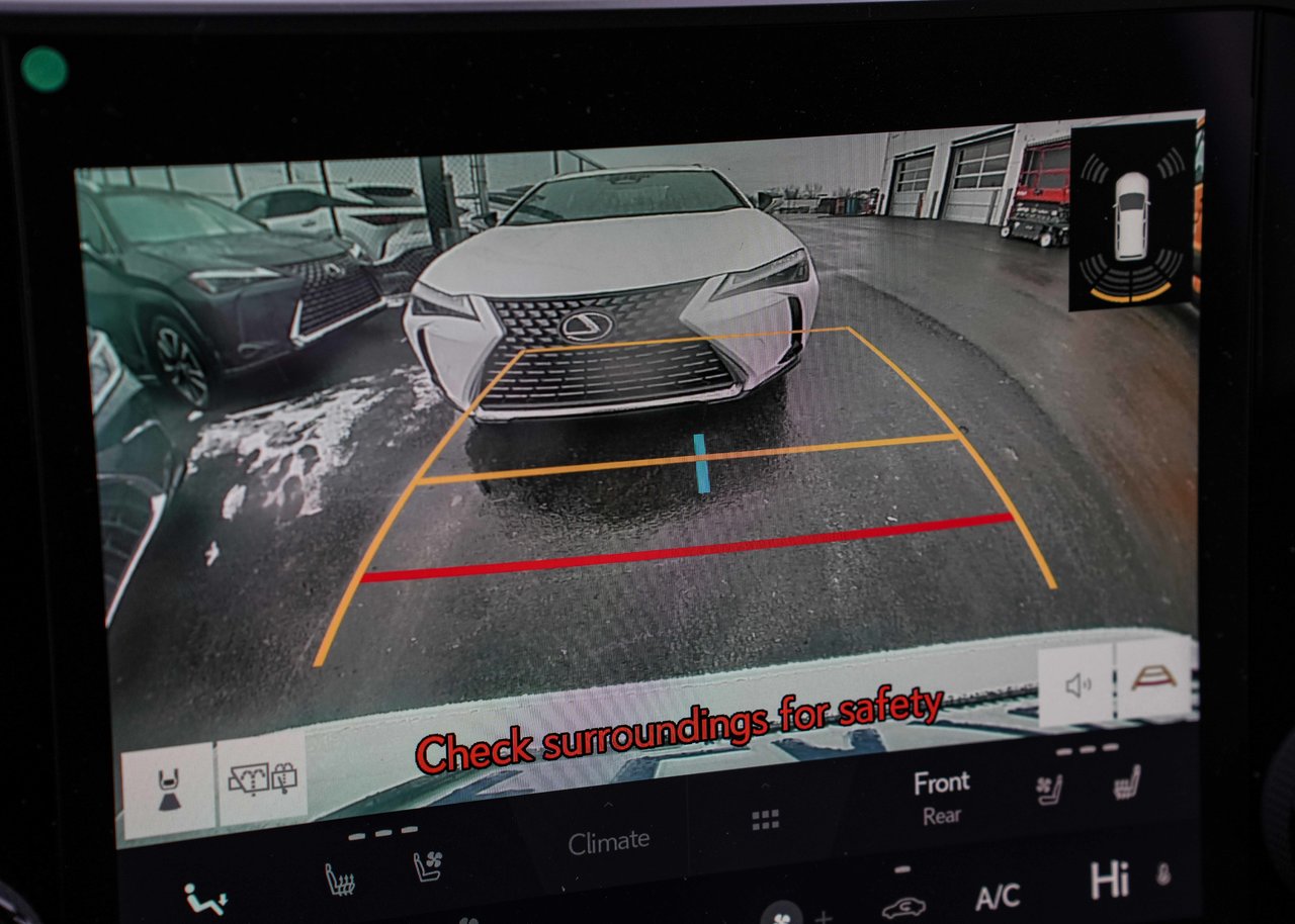 2025 Lexus RX RX 350, PREMIUM PACKAGE