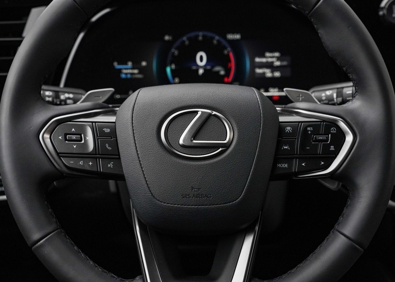 2025 Lexus RX RX 350, PREMIUM PACKAGE
