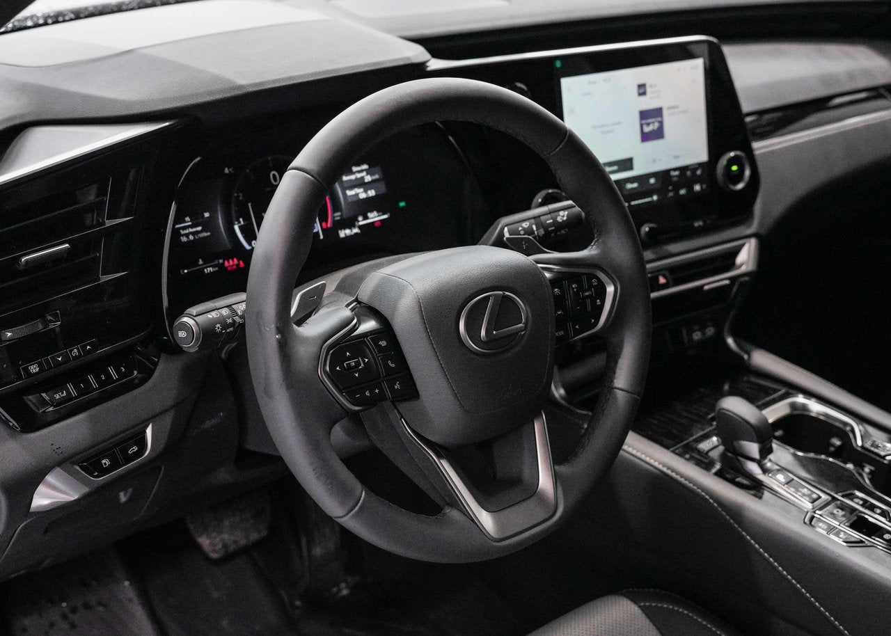 2025 Lexus RX RX 350, PREMIUM PACKAGE