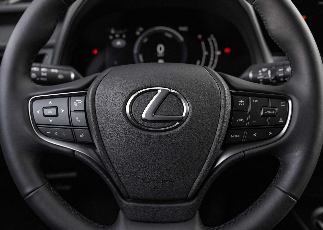 2025 Lexus UX UX 300h, HYBRID AWD, PREMIUM