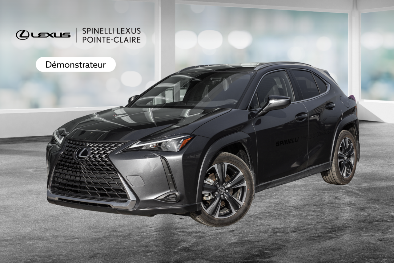 2025 Lexus UX UX 300h, HYBRID AWD, PREMIUM