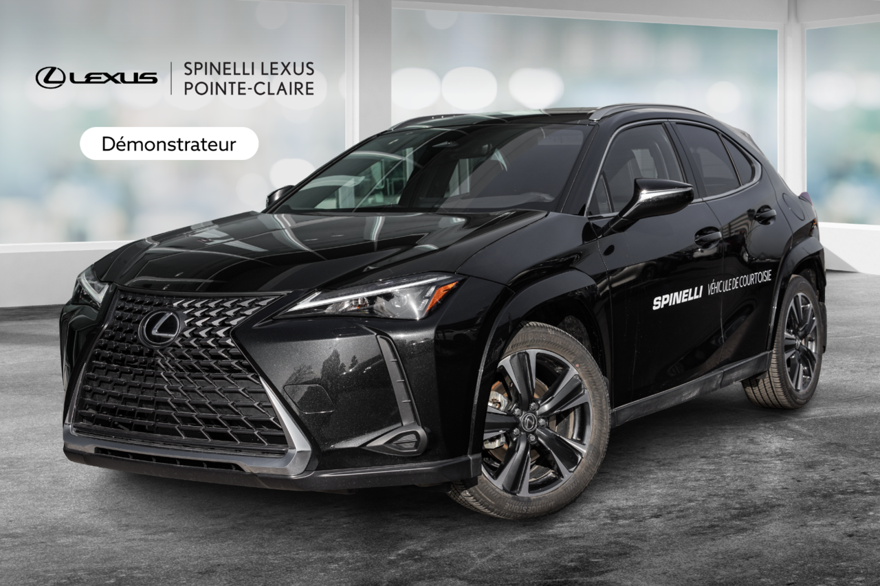 2025 Lexus UX UX 300h, HYBRID AWD PREMIUM