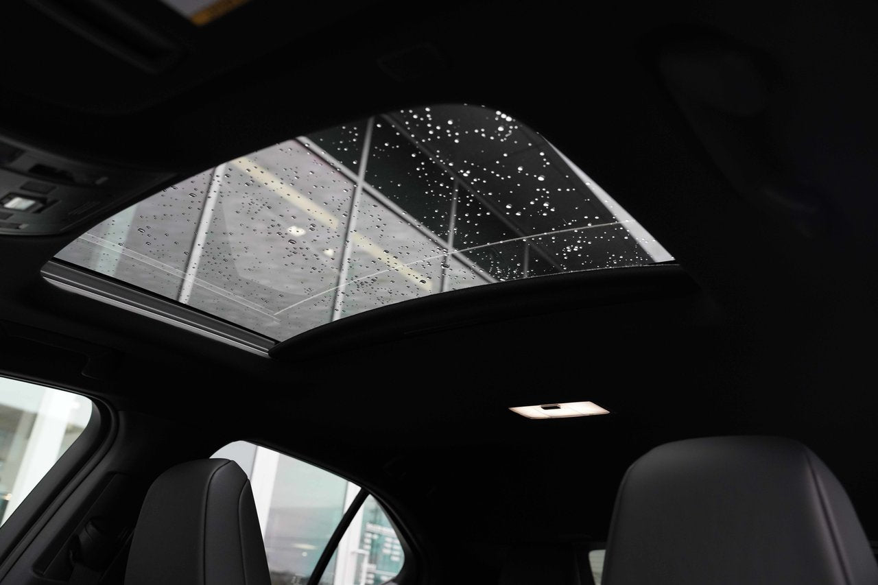 2025 Lexus UX UX 300h, HYBRID AWD PREMIUM