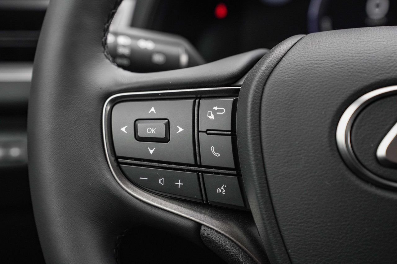 2025 Lexus UX UX 300h, HYBRID AWD PREMIUM