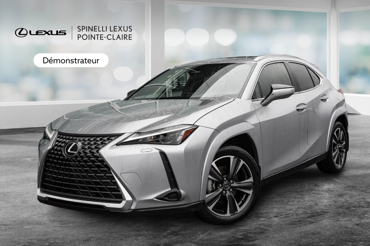 2025 Lexus UX UX 300h, HYBRID AWD PREMIUM