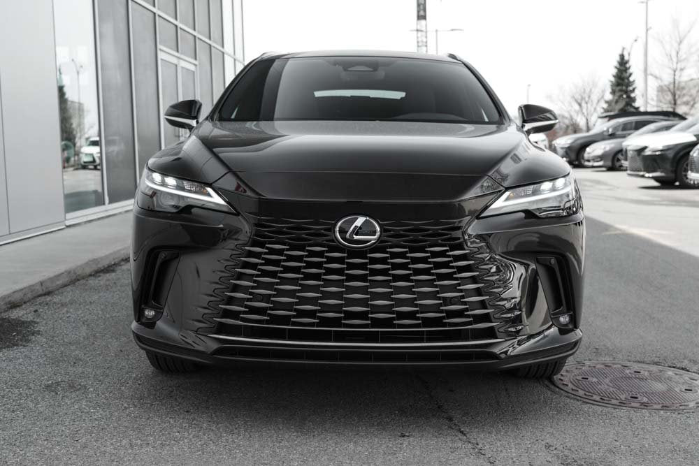 2025 Lexus RX STD