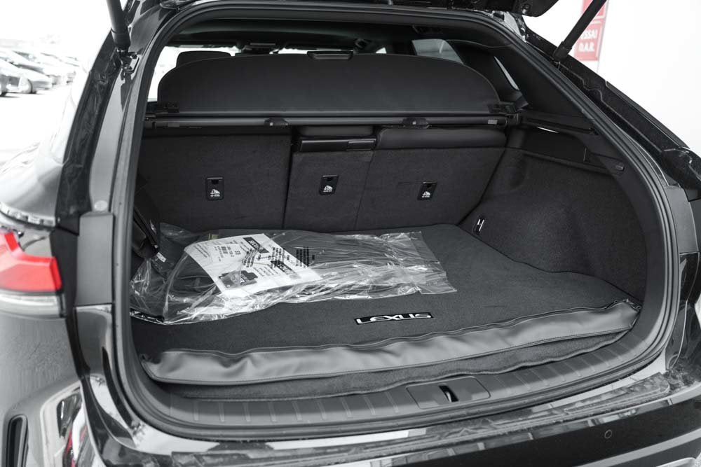 2025 Lexus RX STD