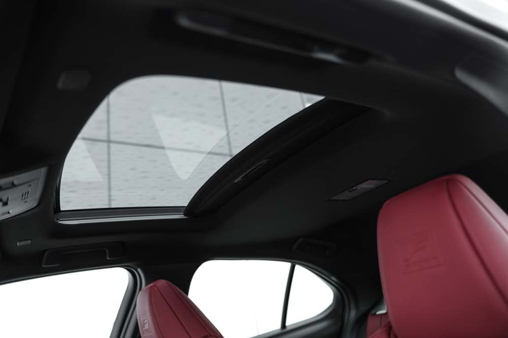 2025 Lexus UX HYBRID F SPORT