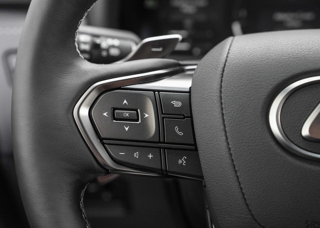 2025 Lexus LX LX 600, PREMIUM PACKAGE