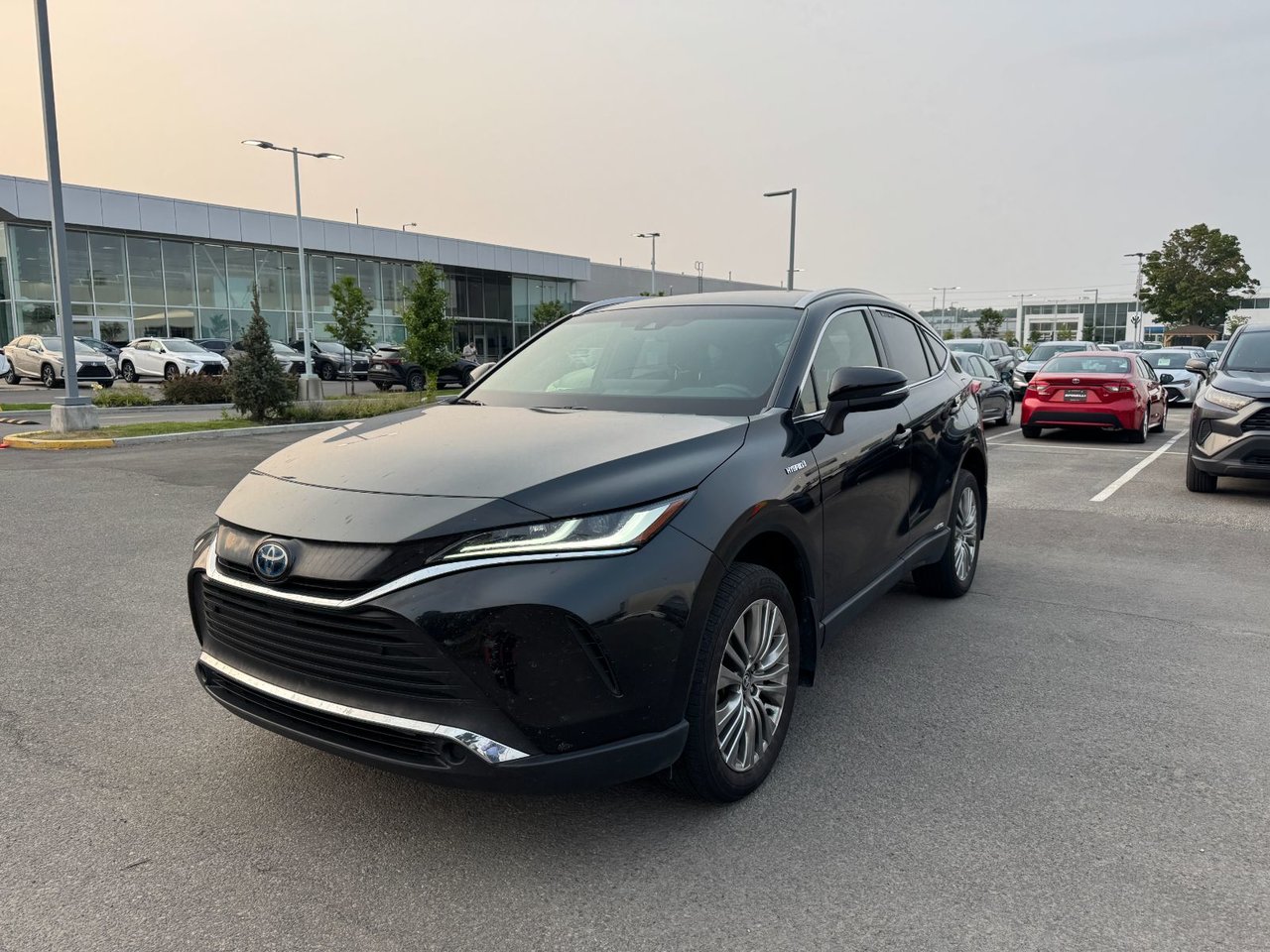 2021 Toyota Venza XLE