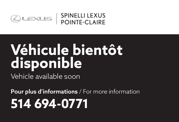 2021 Lexus NX 300 **SIGNATURE**