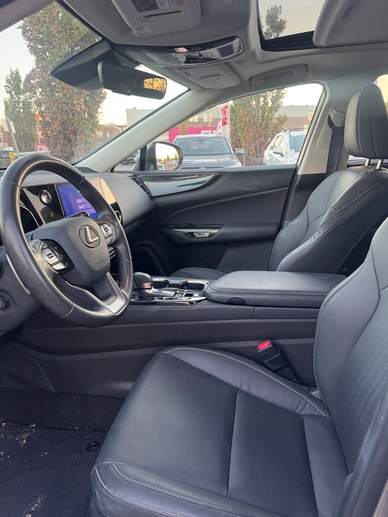 2024 Lexus NX NX 350h