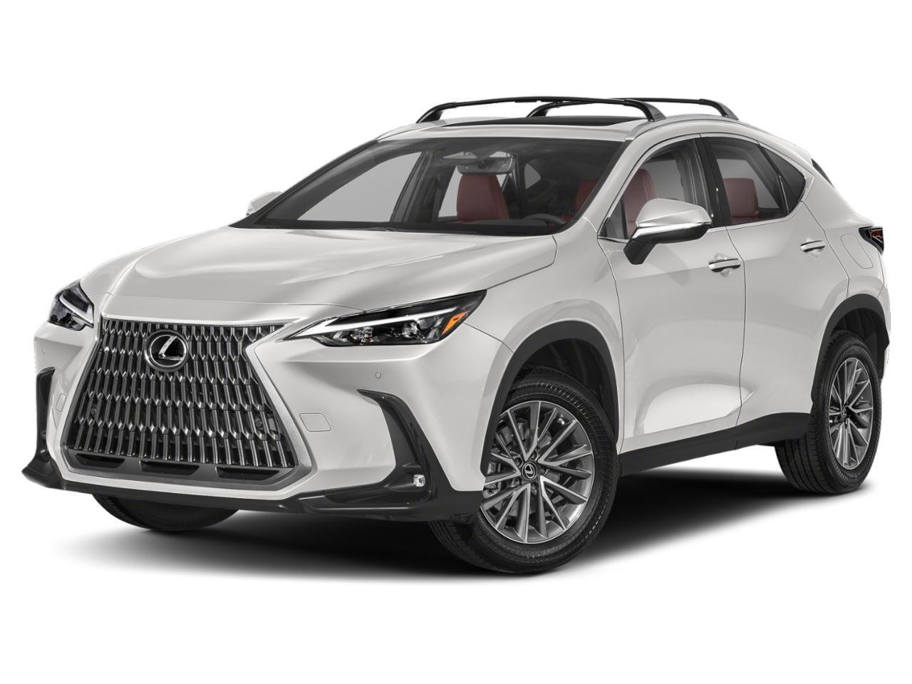 2024 Lexus NX