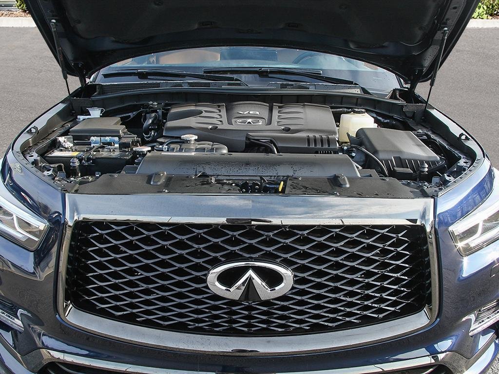 2024 INFINITI QX80