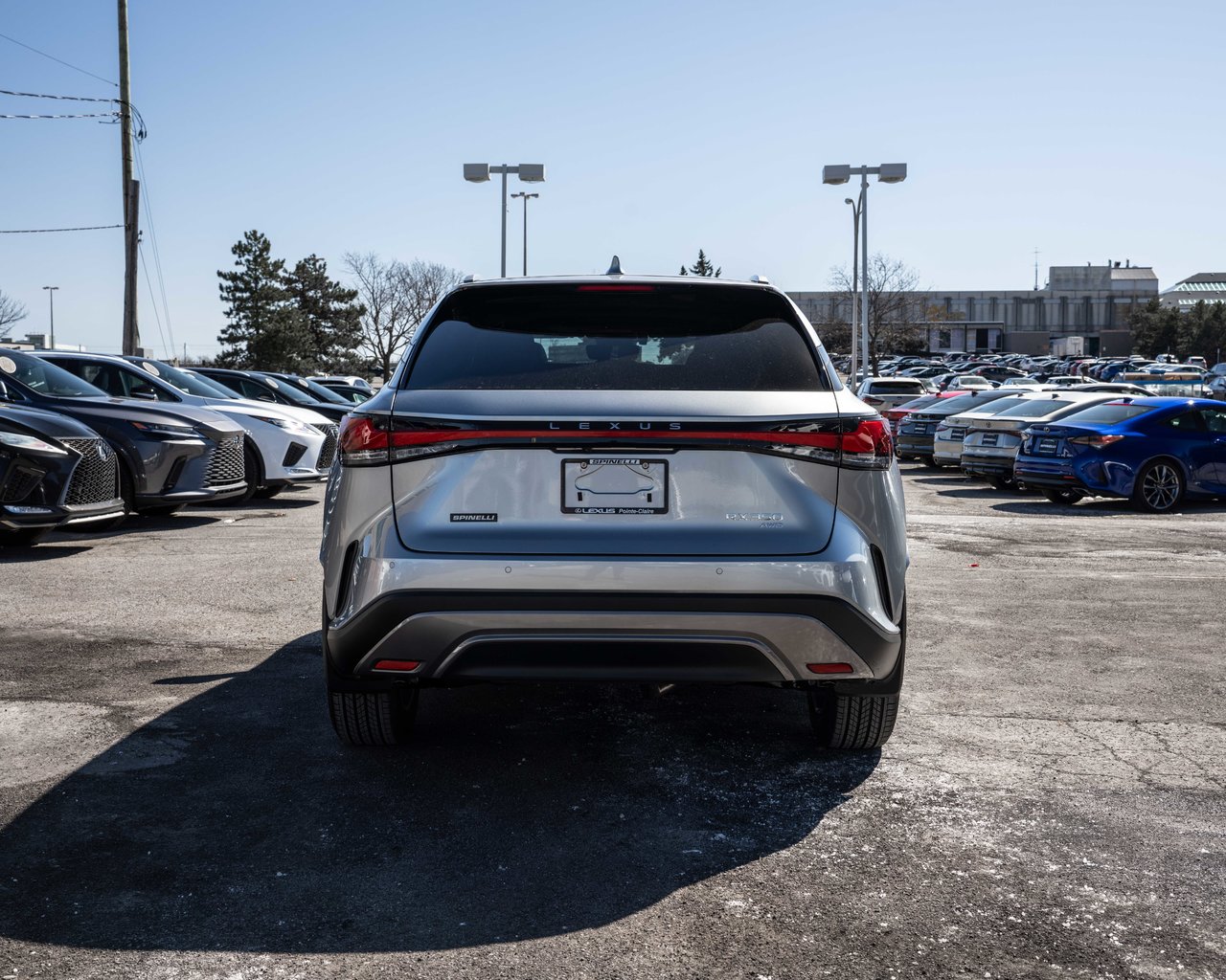 2024 Lexus RX