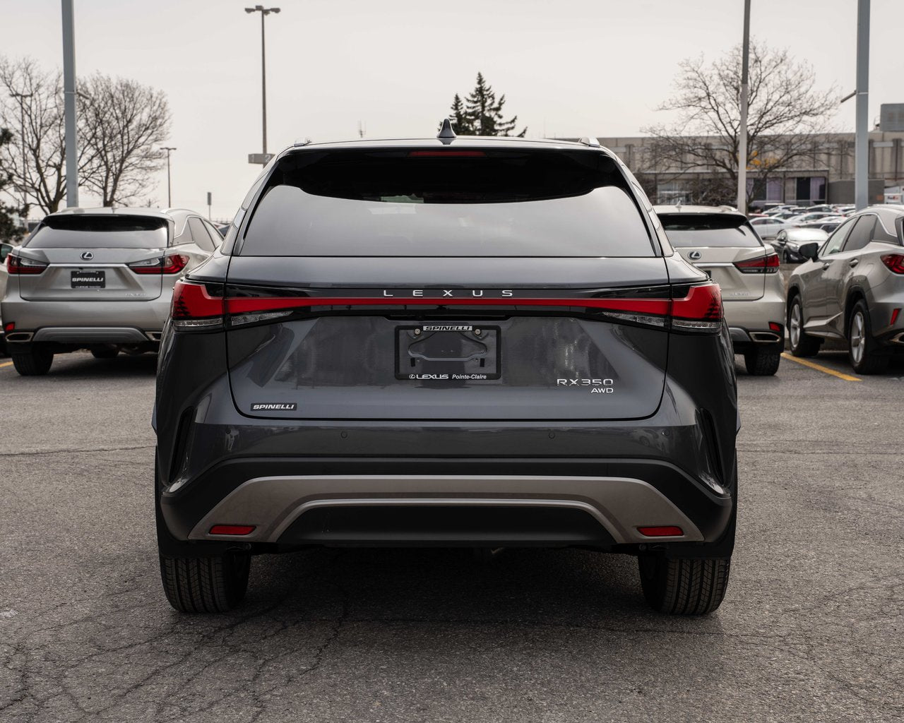 2024 Lexus RX