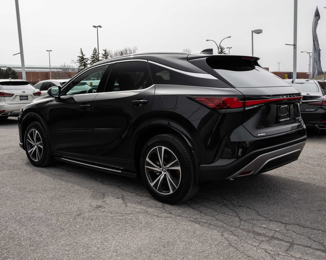 2024 Lexus RX