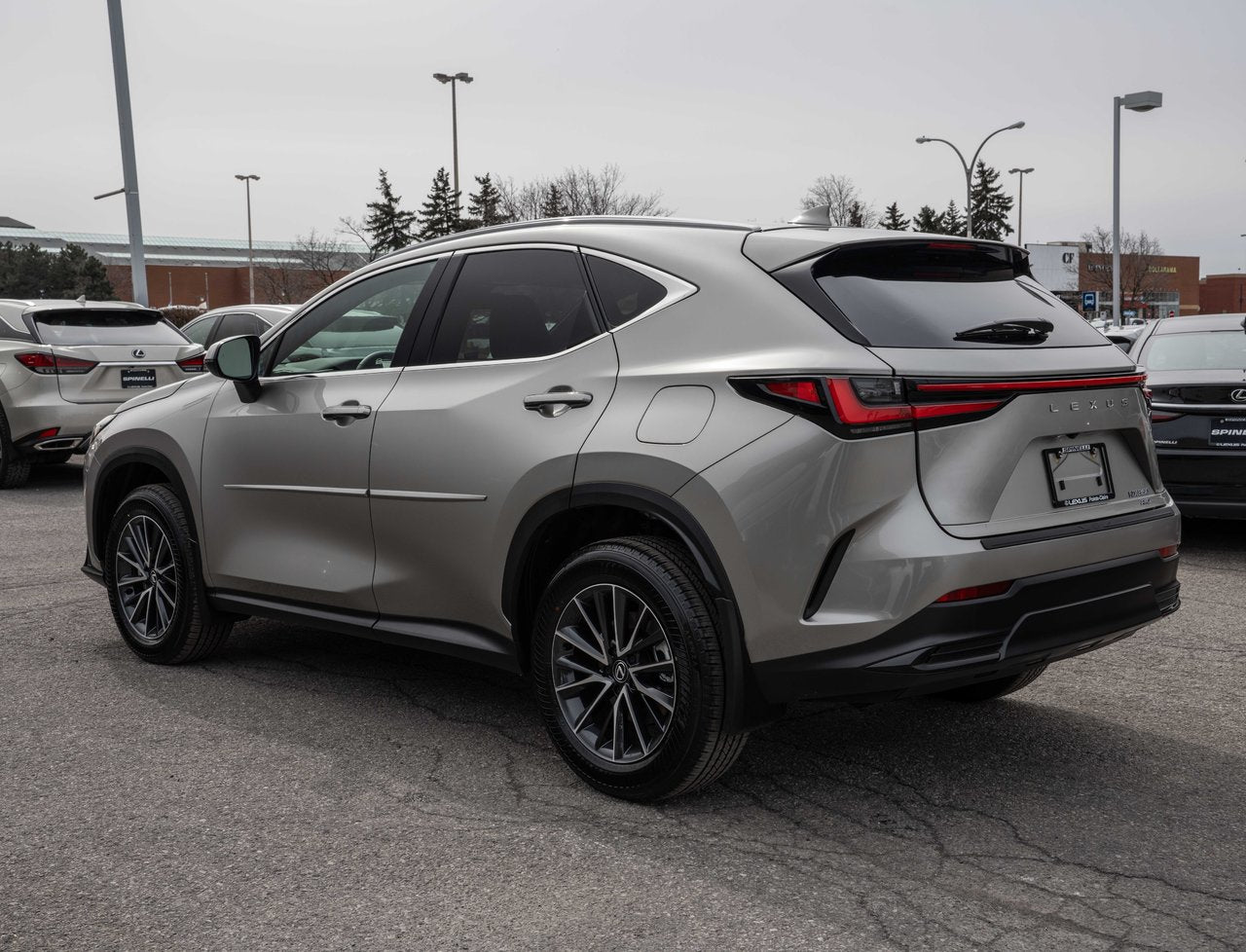 2024 Lexus NX