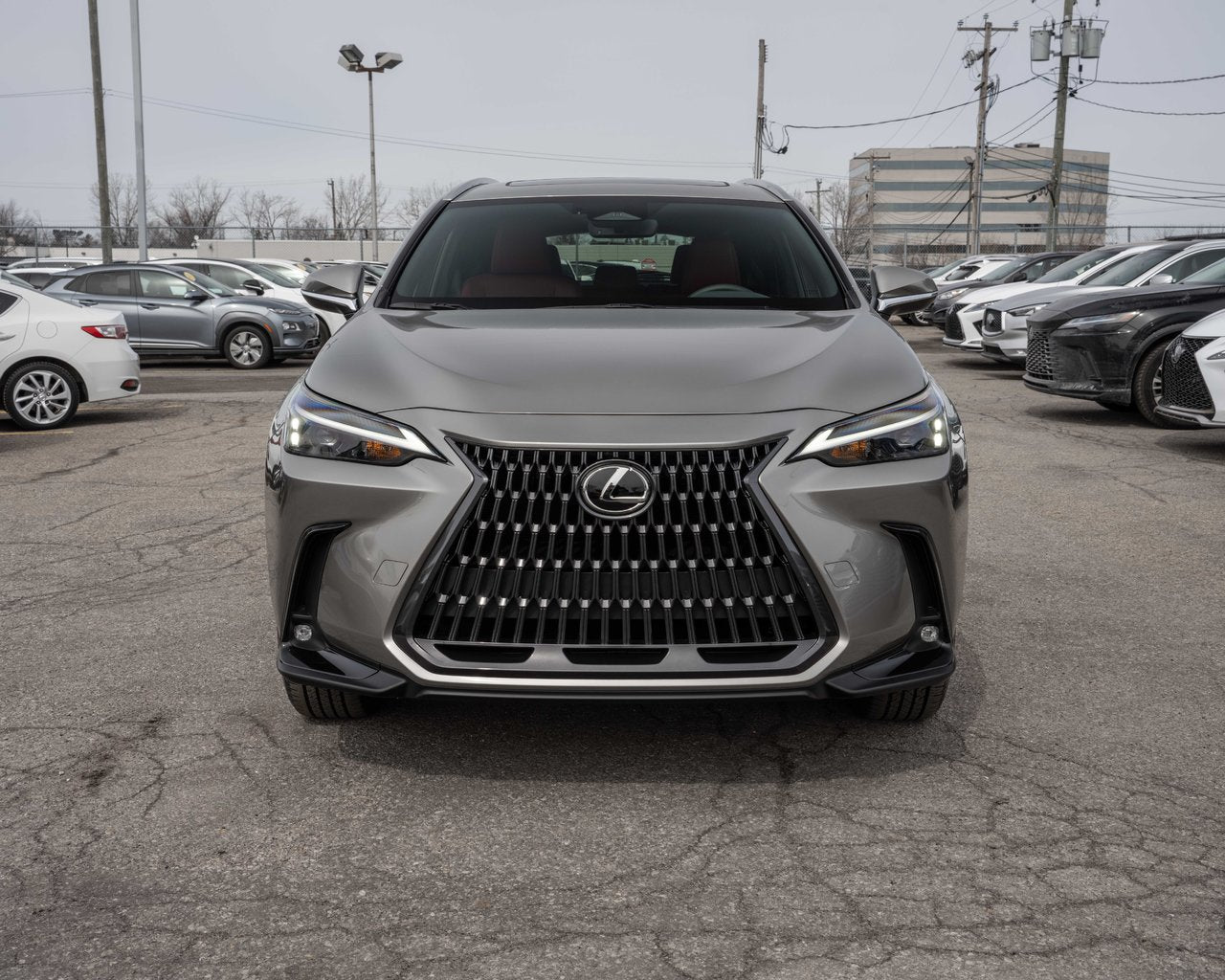 2024 Lexus NX