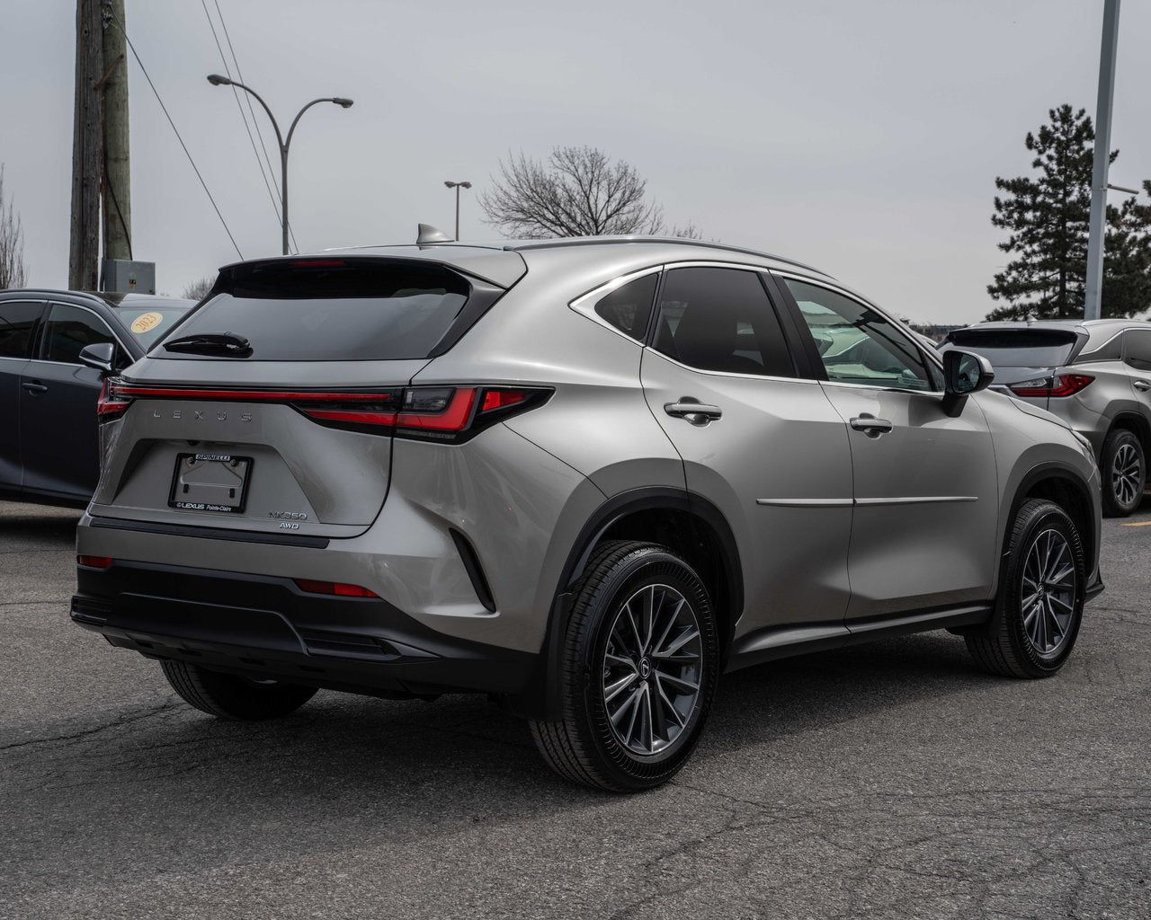 2024 Lexus NX