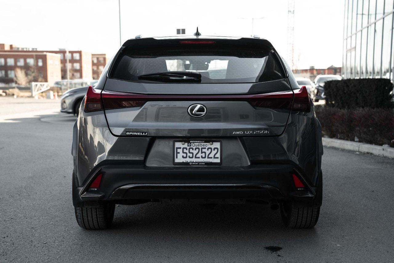 2024 Lexus UX