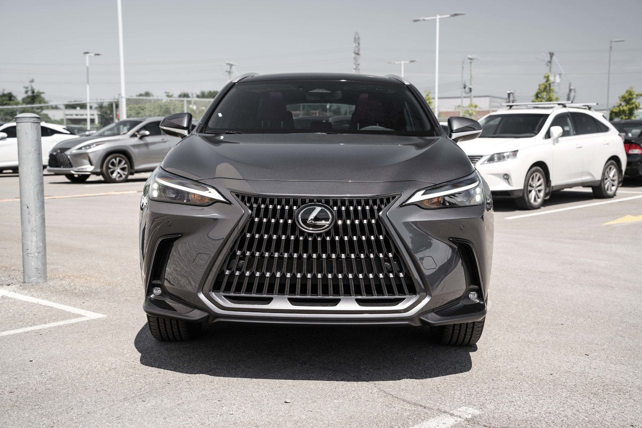 2025 Lexus NX