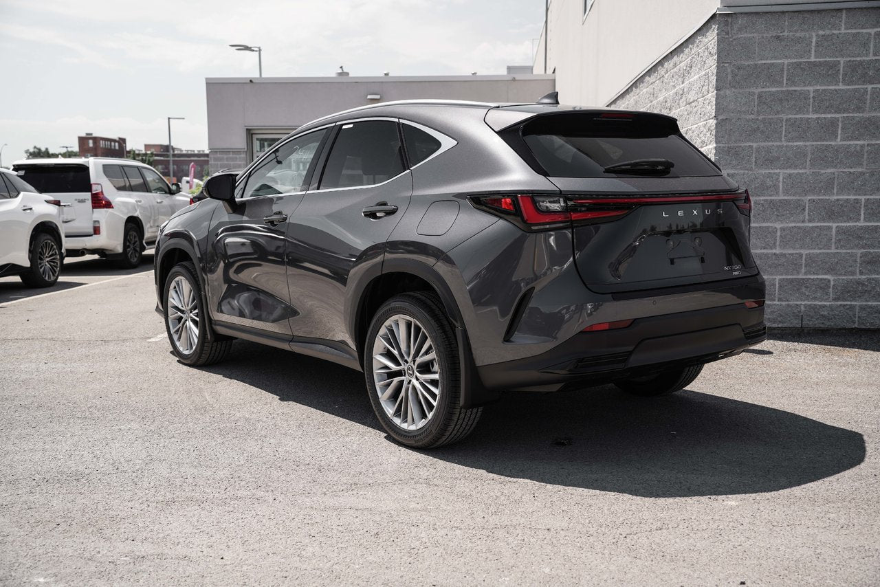 2025 Lexus NX