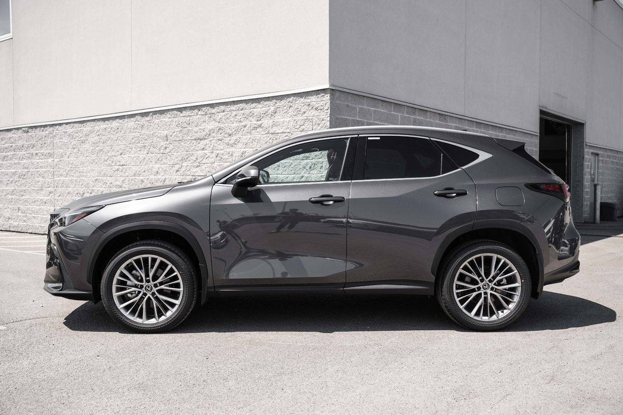 2025 Lexus NX