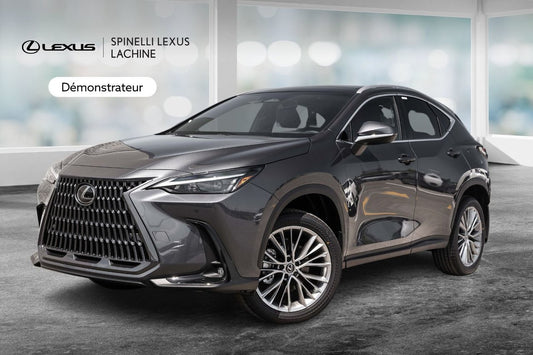 2025 Lexus NX