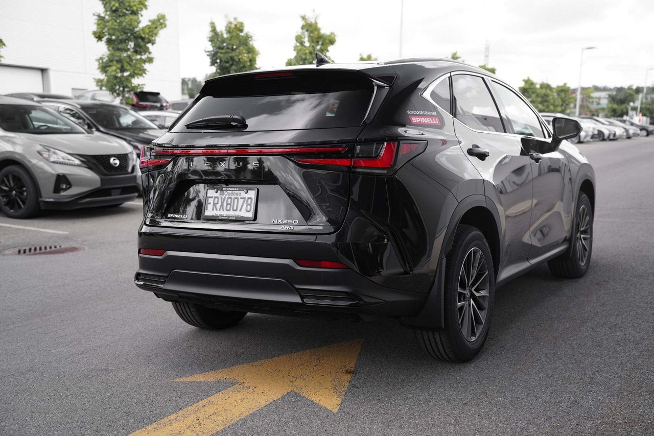 2025 Lexus NX