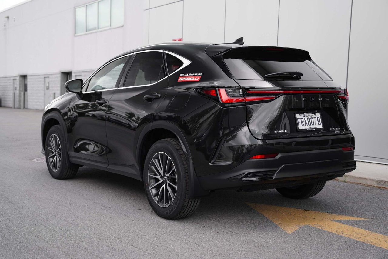 2025 Lexus NX