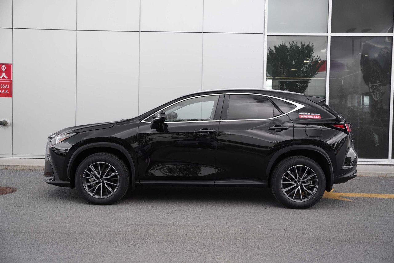 2025 Lexus NX