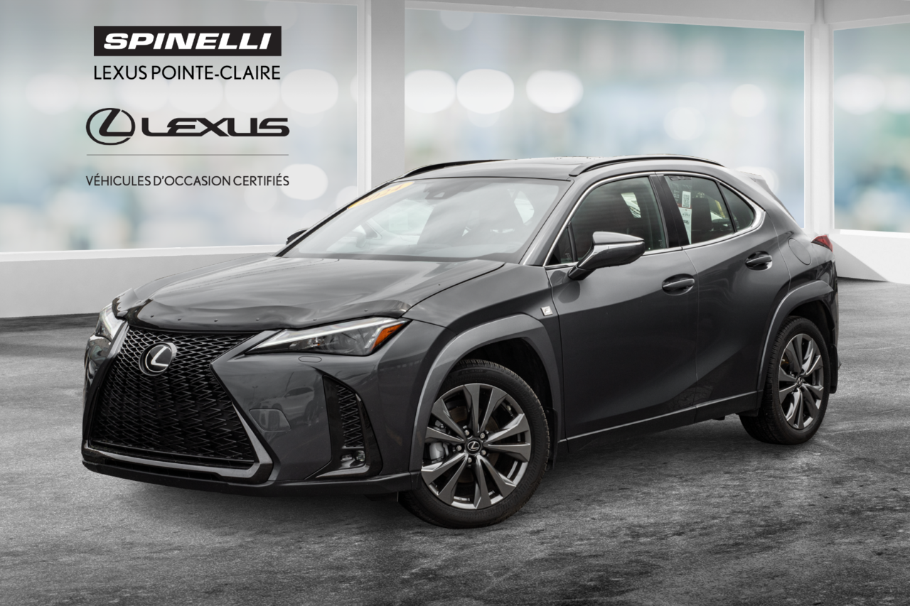 2024 Lexus UX 250h