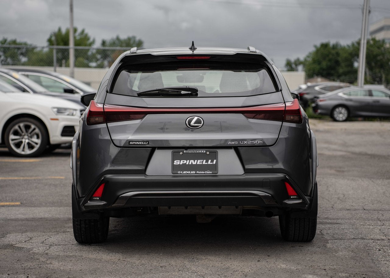 2024 Lexus UX 250h